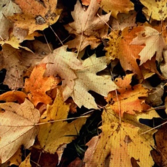 1960's Van Raalte Waltz Length Peignoir Set - Picture 15 of 15